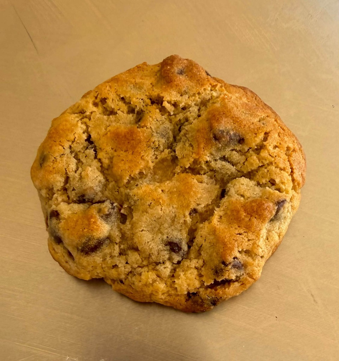 chocolate chip