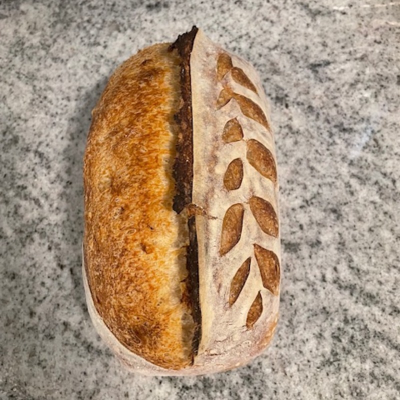 Plain Sourdough Loaf