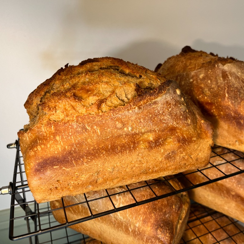 Classic Sourdough Loaf