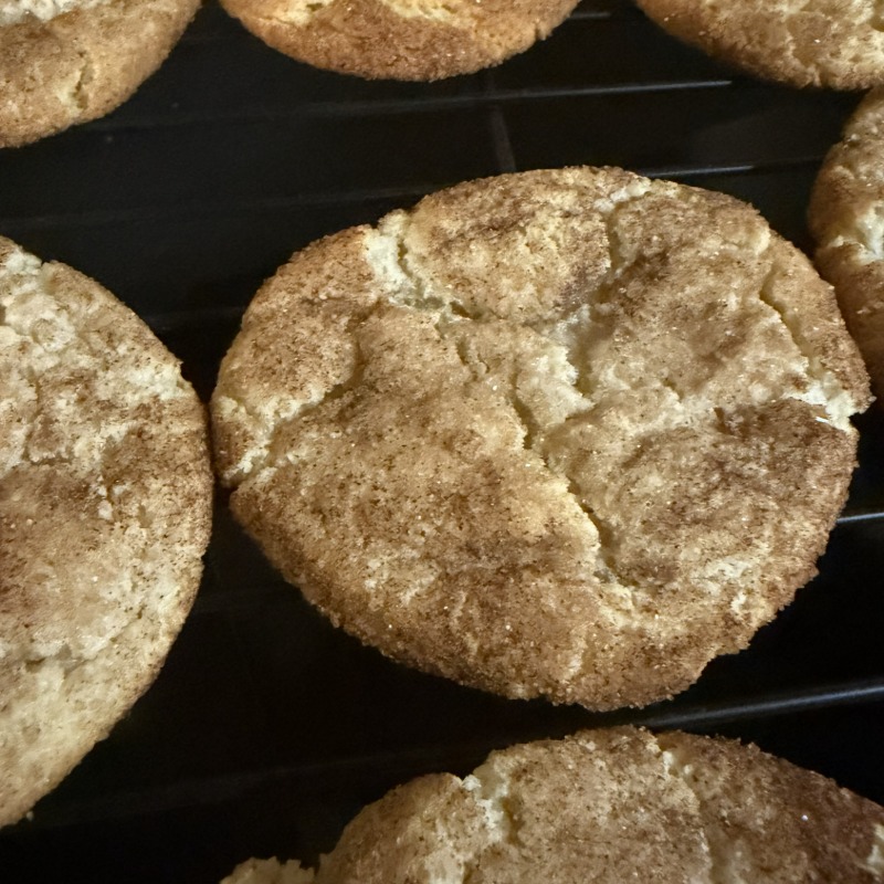 Photo of Snickerdoodle