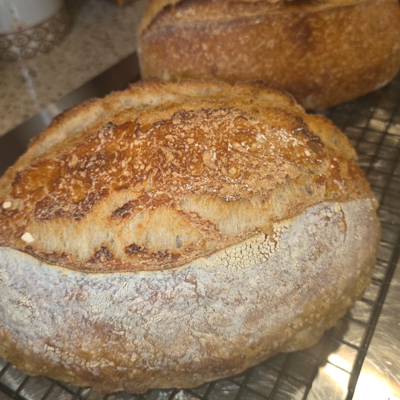Classic Artisan Sourdough Bread 