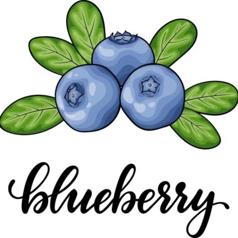 Photo of Blueberry Sugar Cookies
