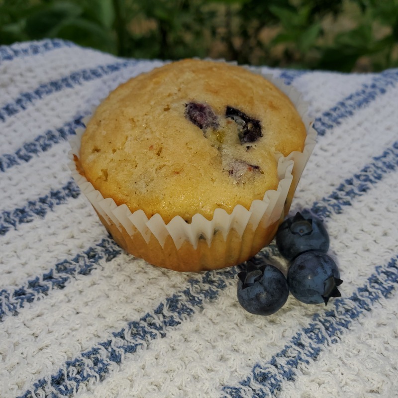 Photo of Lemon Blueberry Muffins