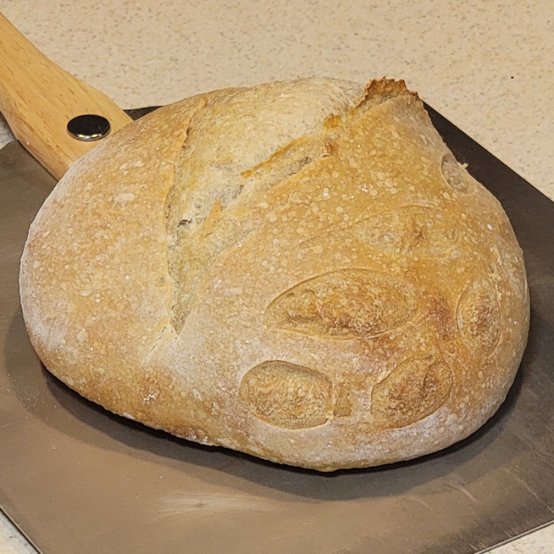 Classic Sourdough Bread 