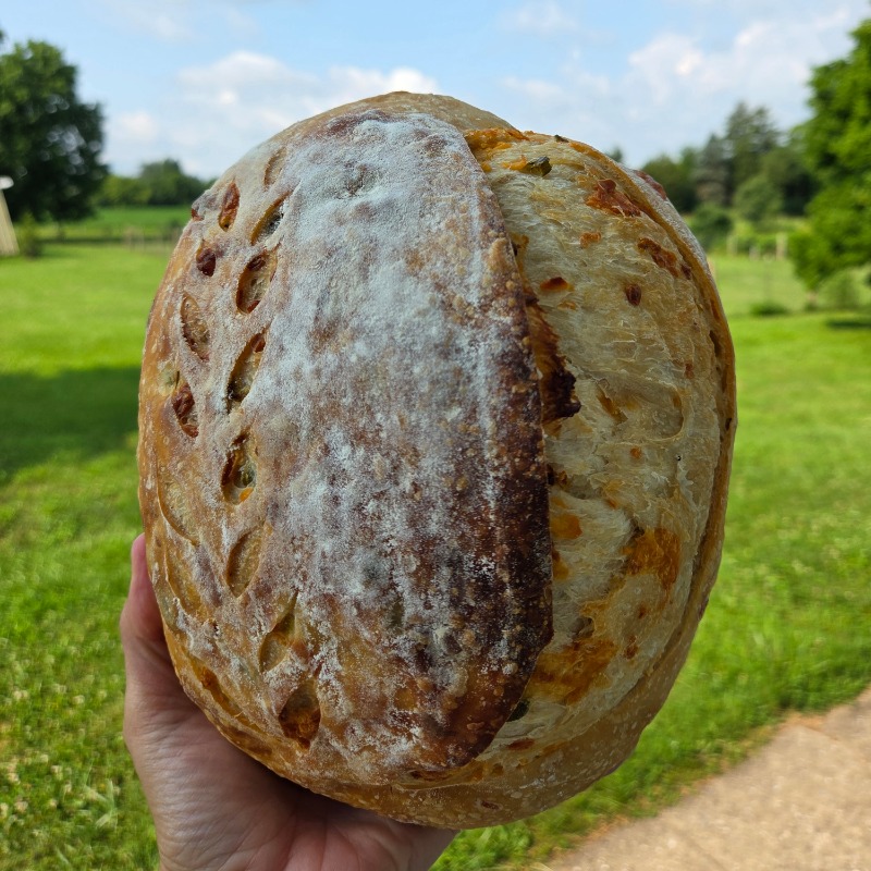 Jalapeno Cheddar Sourdough Loaf