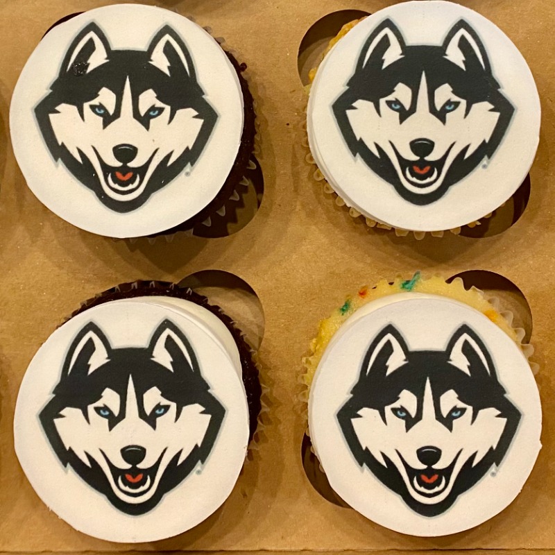 Husky Cupcake