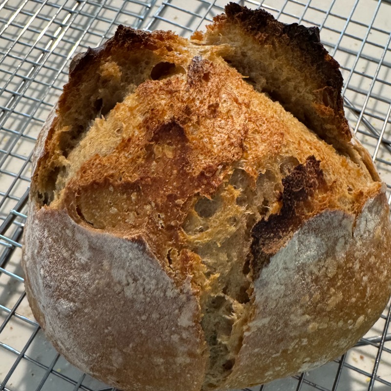 Whole Wheat Sourdough