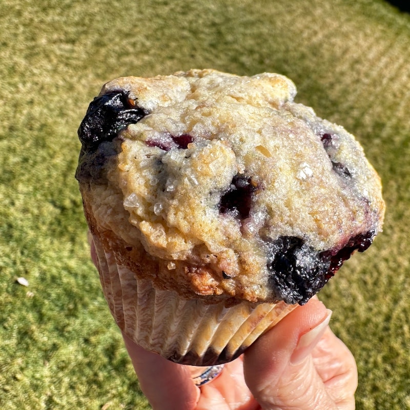 Photo of Gourmet Blueberry muffins