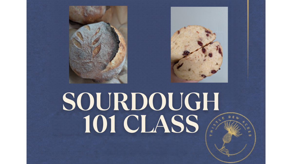 Sourdough 101 Class
