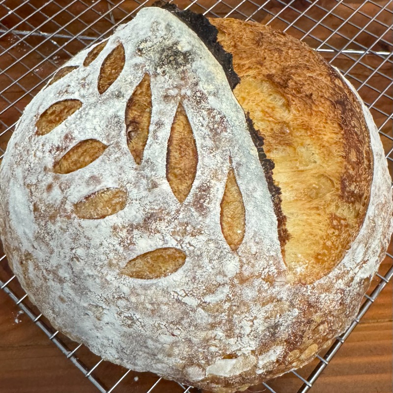 Sourdough 