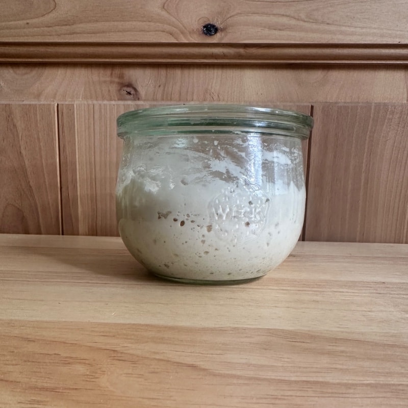 Organic Sourdough Starter