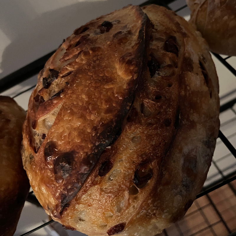 Photo of Sourdough Artisan Loaf - Cranberry Lemon