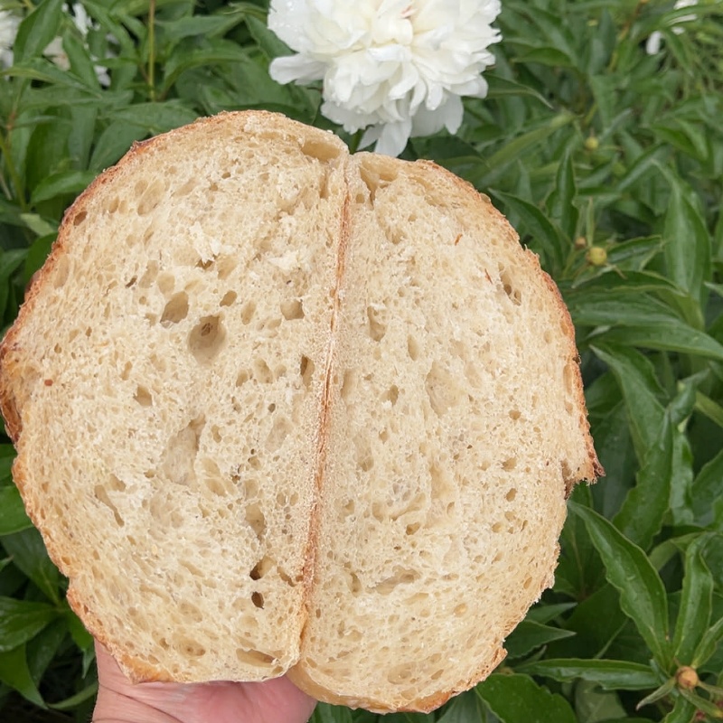 Classic Sourdough Loaf