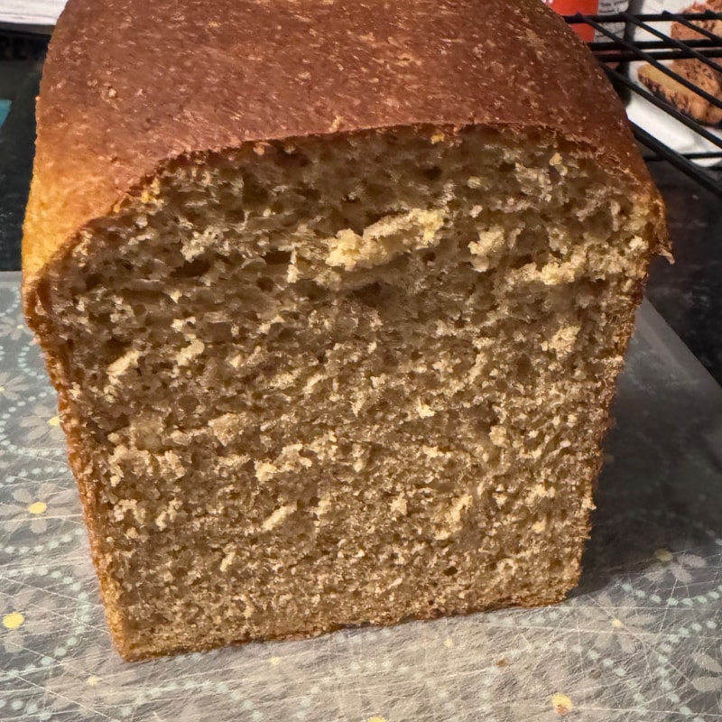 Photo of Fresh milled flour sandwich bread (not sourdough)