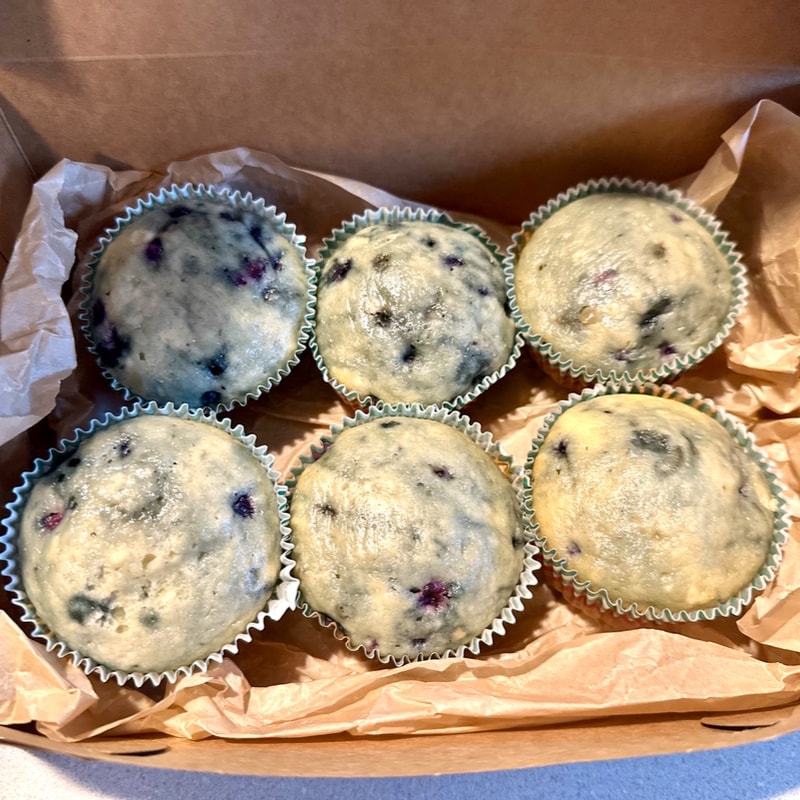 Sourdough Blueberry Muffins
