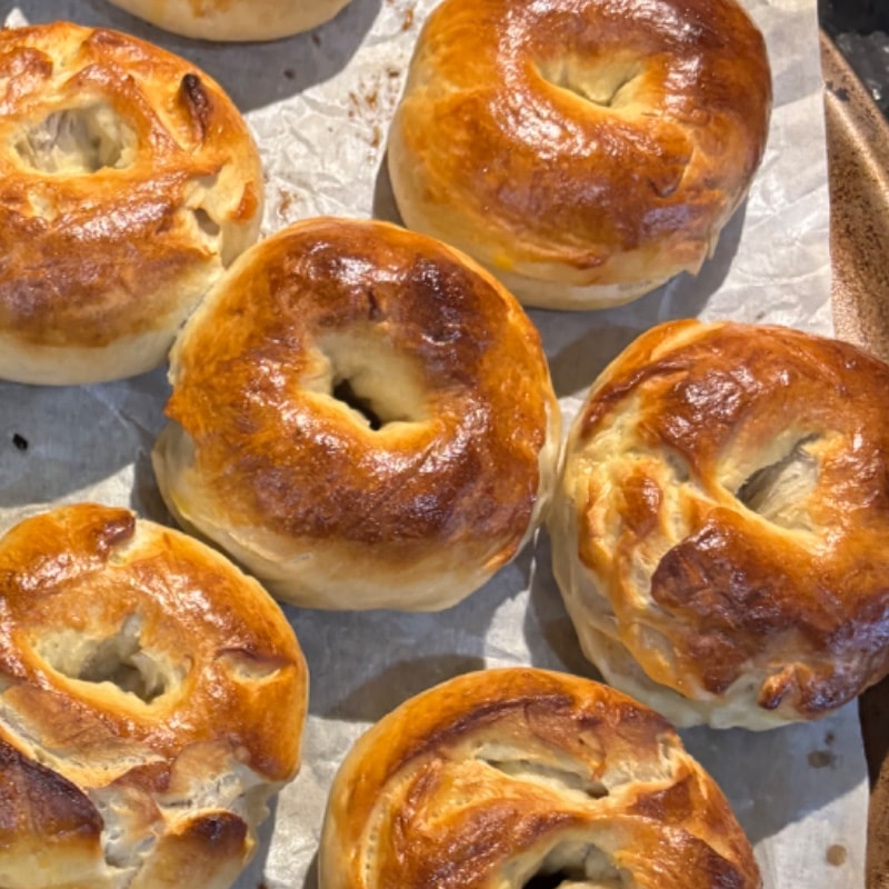 Plain Bagels 