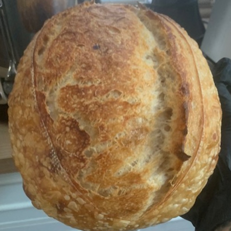Photo of OG Plain Sourdough Loaf
