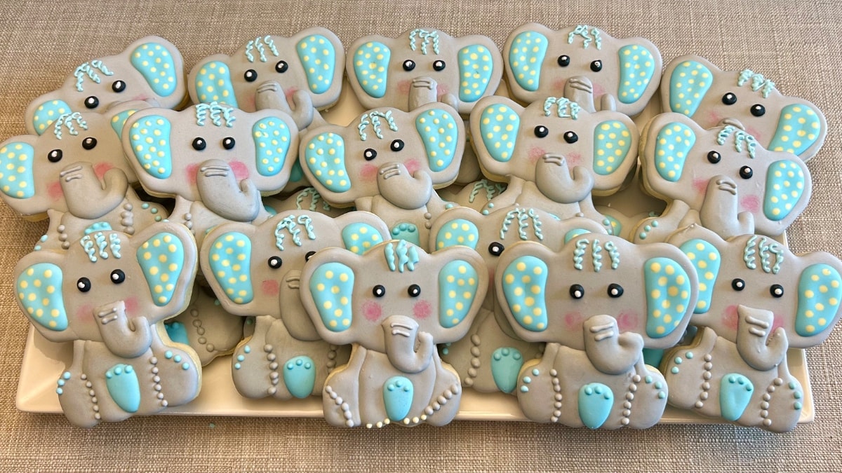 Elephant Set