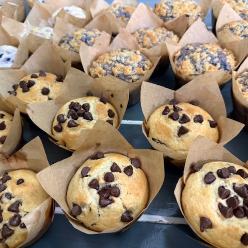 Photo of Large Chocolate Chip Muffin