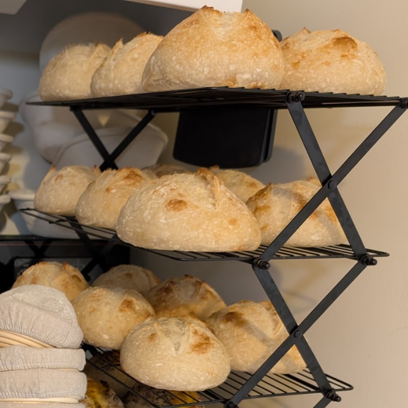 Photo of Bread Bowls (Mini Boules)