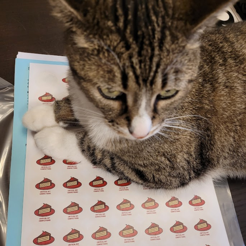 A beautiful tabby/white cat sitting on some stickers with the company logo