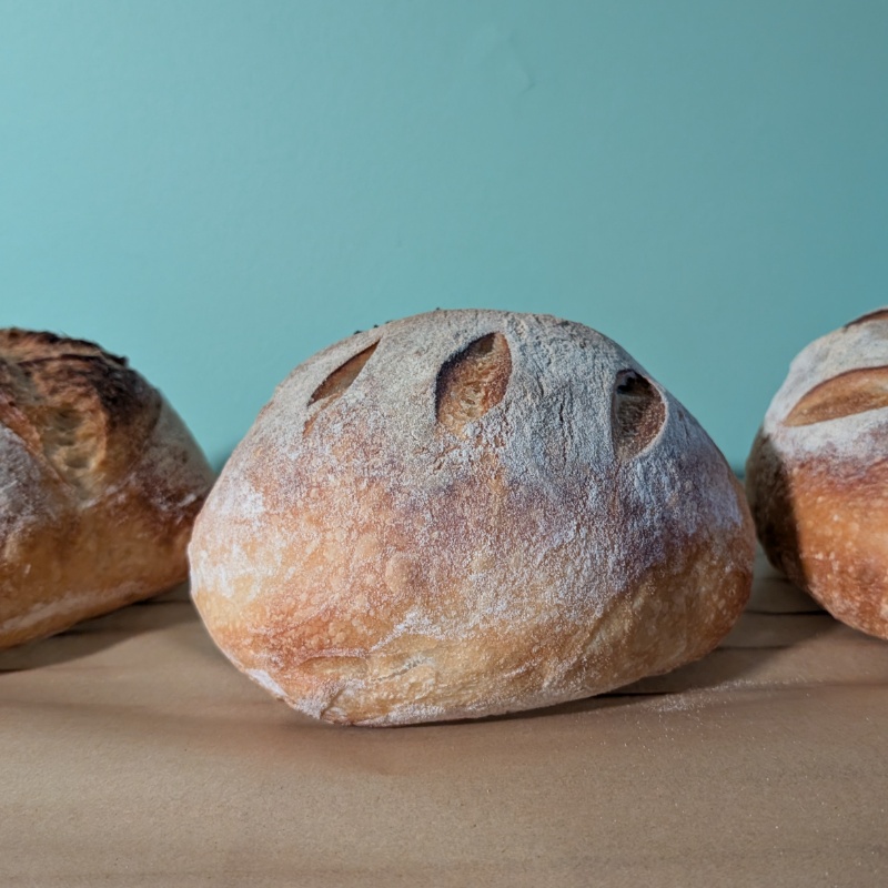 Sourdough Rustic Bread