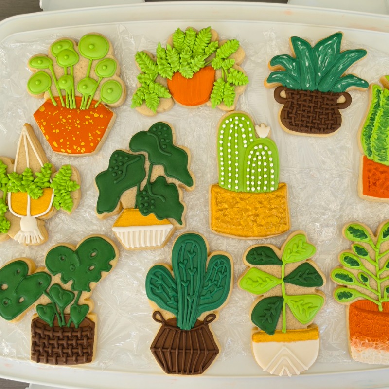 Decorated Sugar Cookies - Plant Set of 11