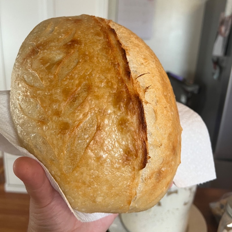 Sourdough Bread