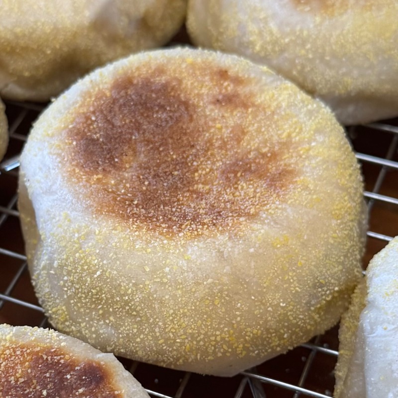Sourdough English Muffins