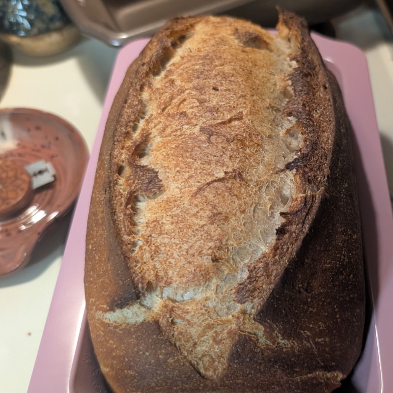 Sourdough Whole Wheat Sandwich Loaf