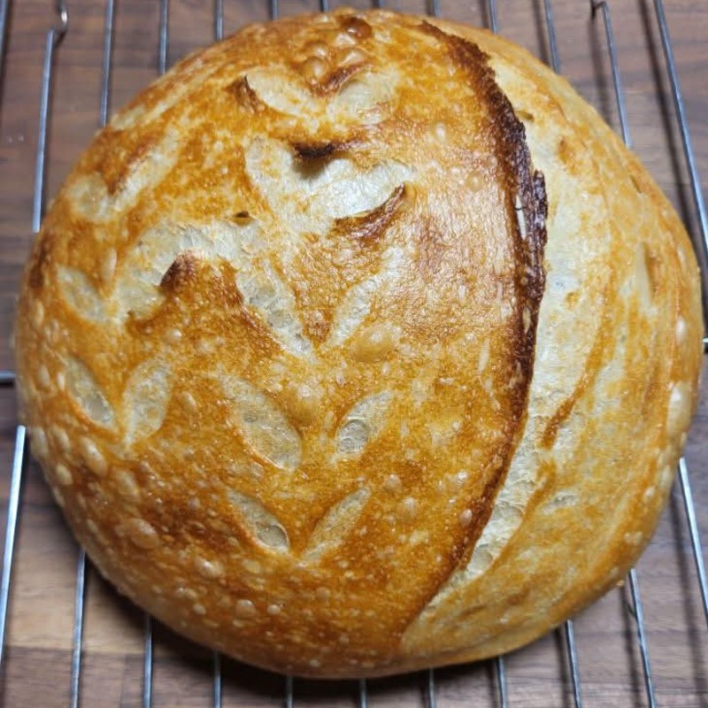 Sourdough Artisan Bread 