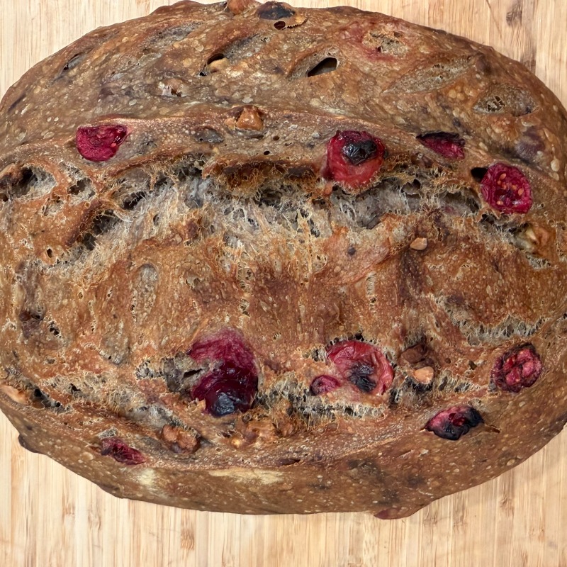 Large Organic Sourdough Cranberry Walnut Bread