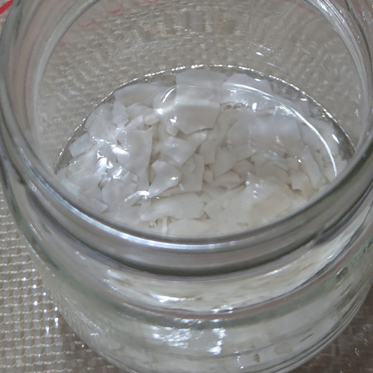 Dehydrated Starter in Water