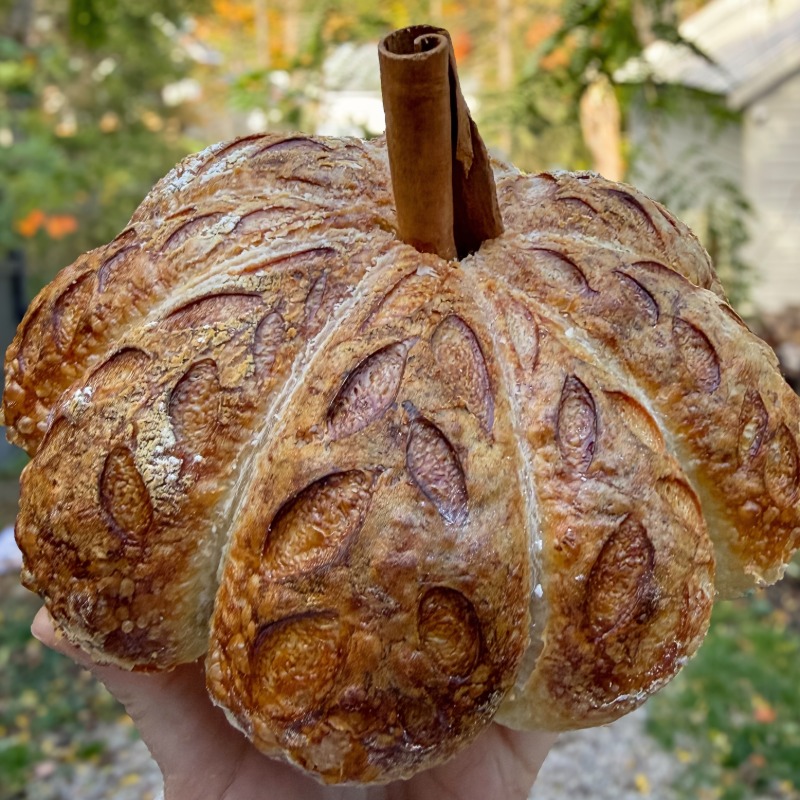 The Monthly Crumb