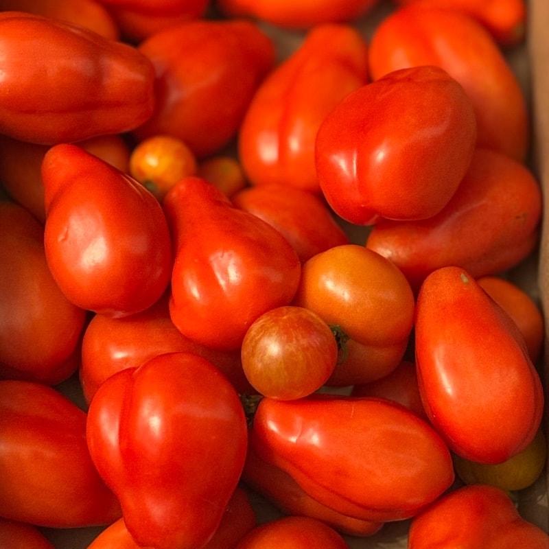 Homegrown Sauce & Soup Tomato Bundles
