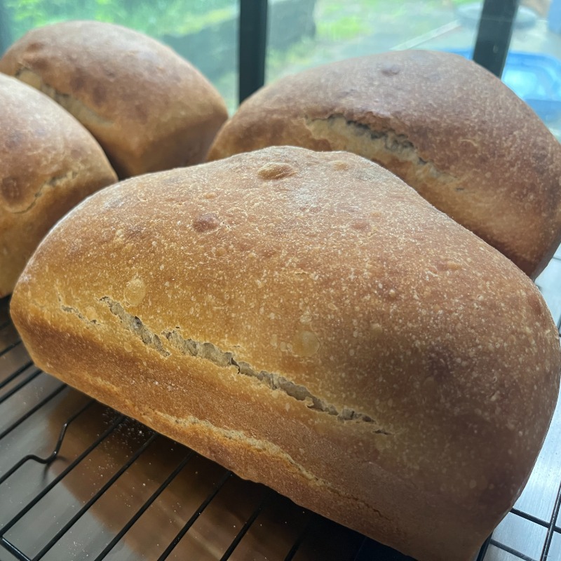 The OG Sourdough Sandwich Loaf