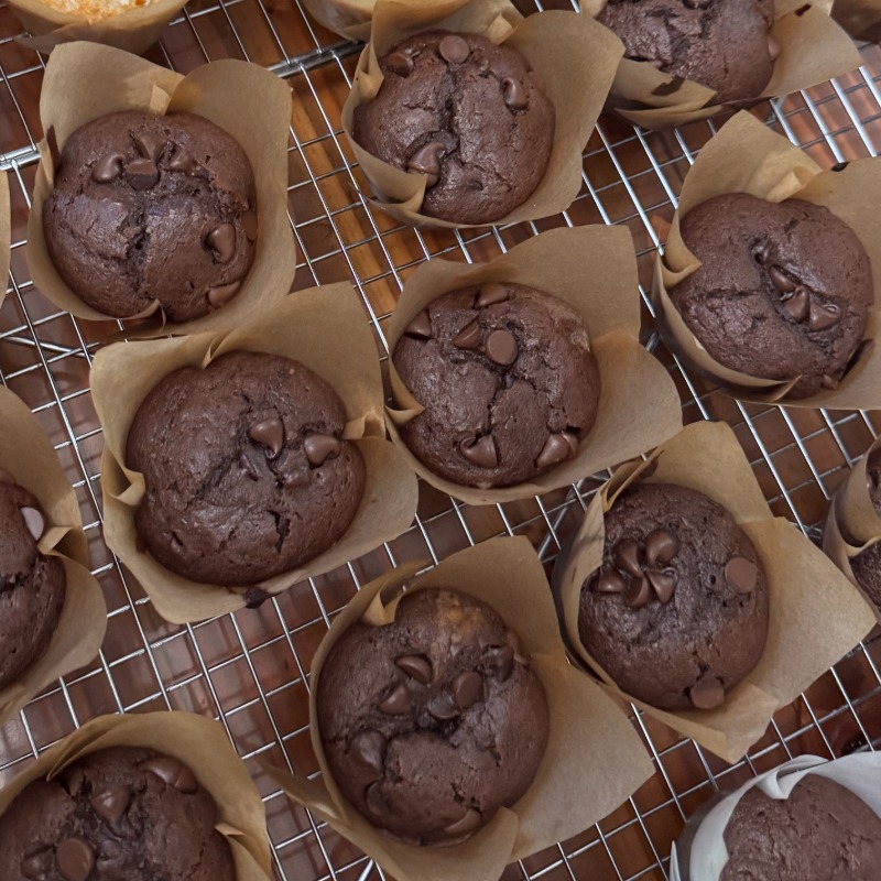 Double Chocolate Muffins