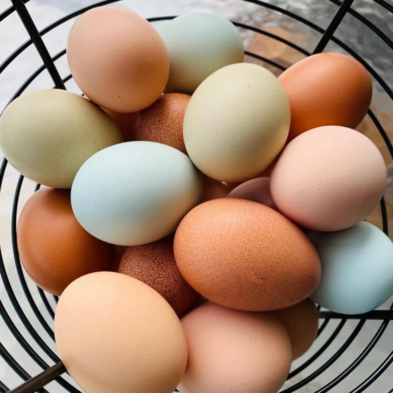 Refrigerated Washed Eggs