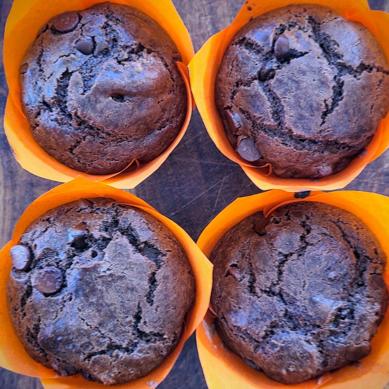 Chocolate Chocolate Chip muffins