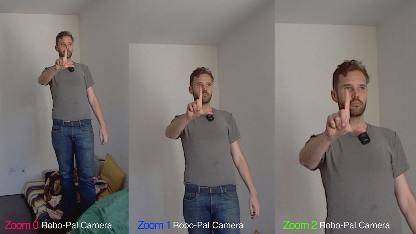 Auto Tracking Camera Zoom Levels