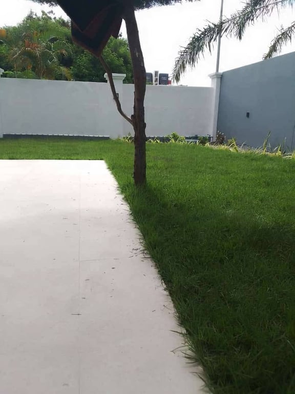 RELVA ESMERALDA FINA NATURAL 