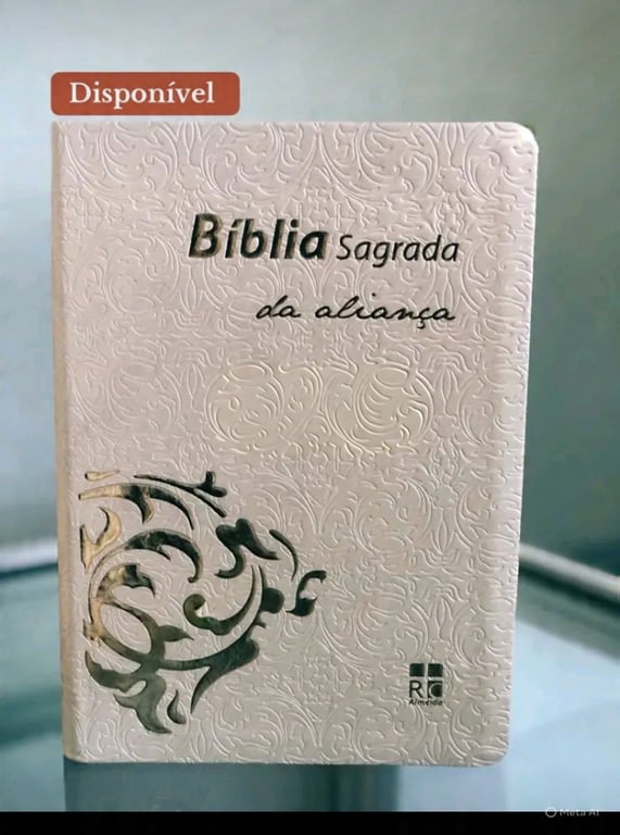 Bíblia Sagrada Grande 