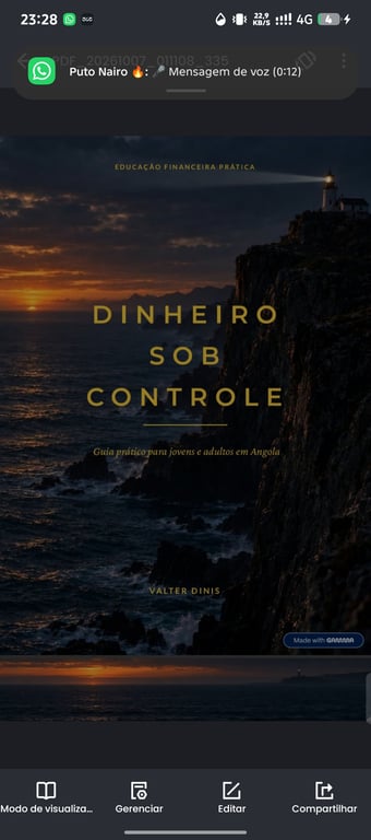 Dinheiro sob controle 