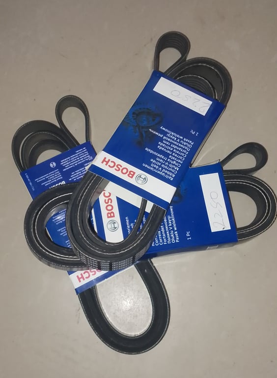 Correia 6PK 