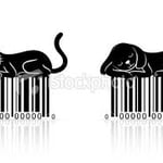 Cats-barcode