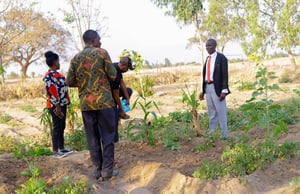 HAPA Singida Empowering Change
