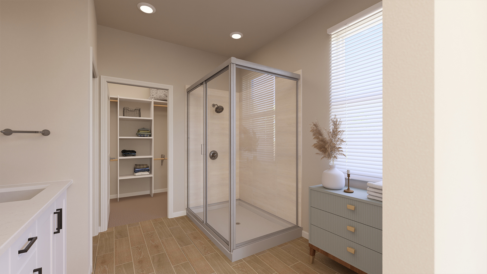 Owner's Bath