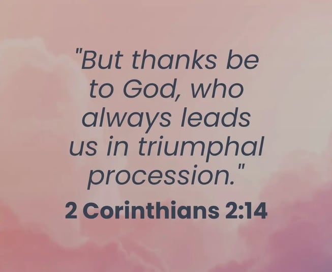 3c44abbb-78fc-40dd-b70b-c1cd6ea0f12a