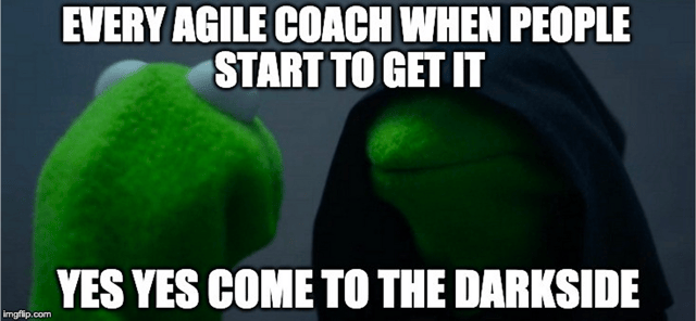 Agile Coach