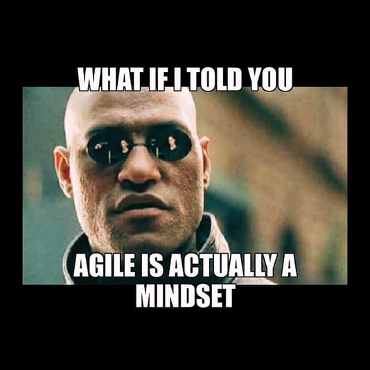 Agile Mindset